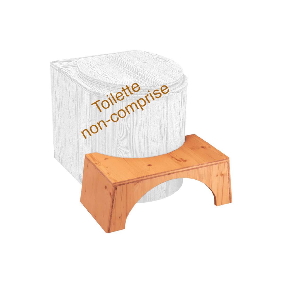 Physiological booster stool for toilet