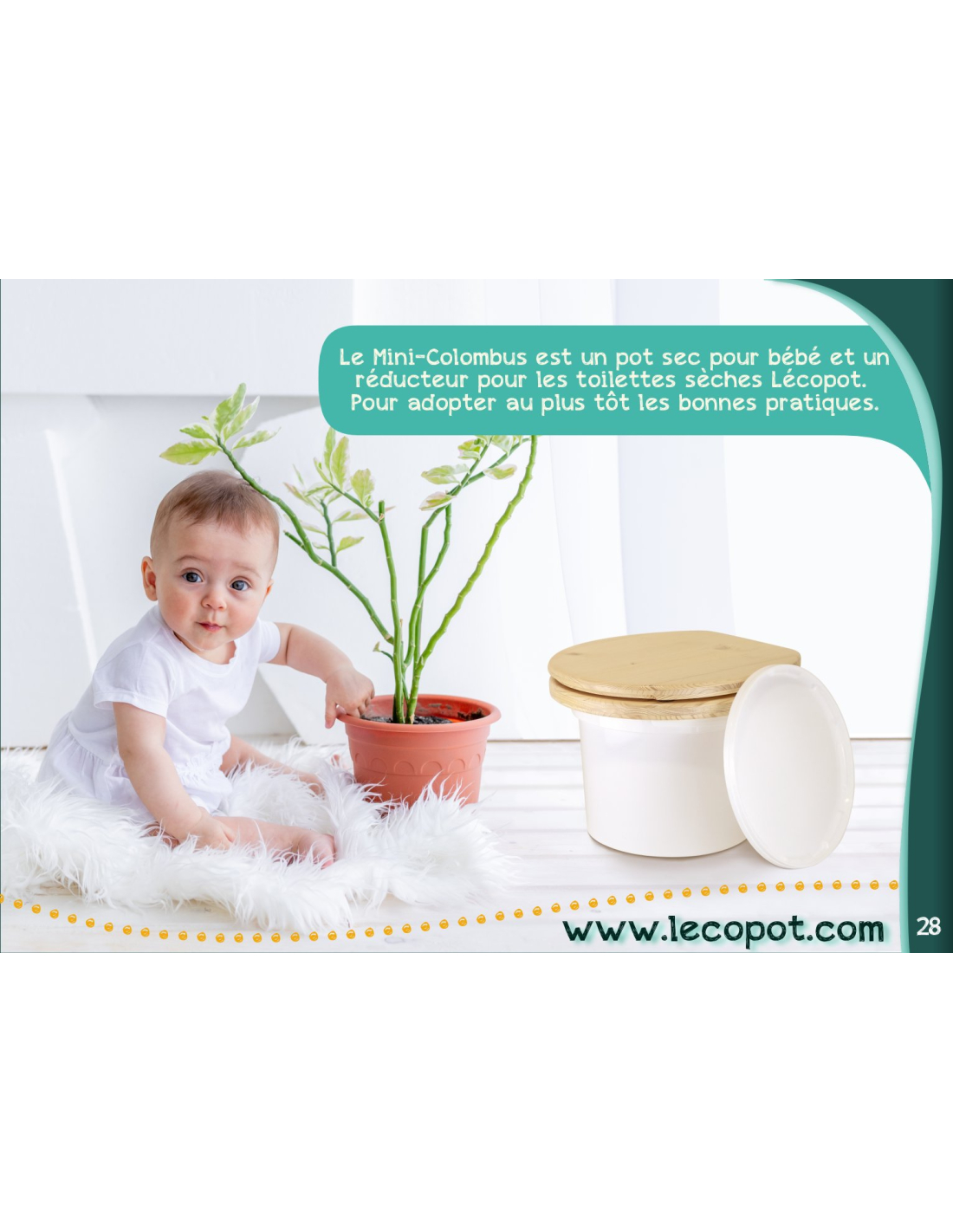 Réducteur de toilette - Toilette sèche bébé LECOPOT