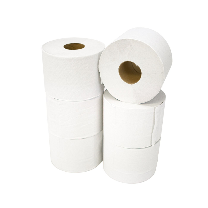 Set of 6 rolls of toilet paper ECOLABEL 600 sheets