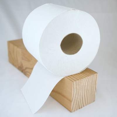Set of 6 rolls of toilet paper ECOLABEL 600 sheets