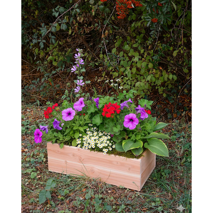 Carré potager / Jardinière modulable 30 x 60 cm
