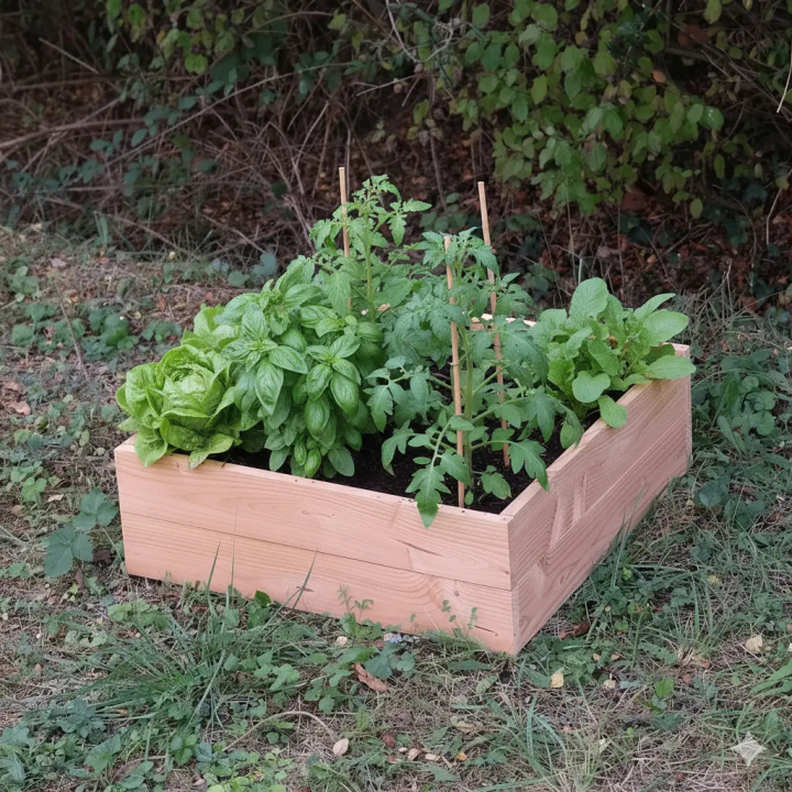 Carré Potager Modulable en Bois Douglas 60x60cm | Origine France