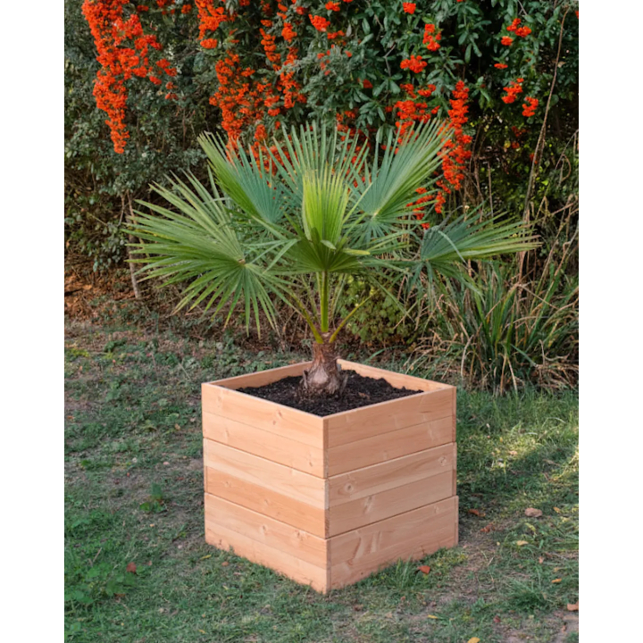 Carré Potager Modulable en Bois Douglas 60x60cm | Origine France